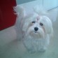 ¡justo hoy cumple 6 meses! ¡Felicidades pequeñita! :)